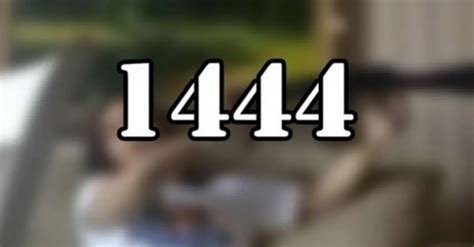 video 1444|More.